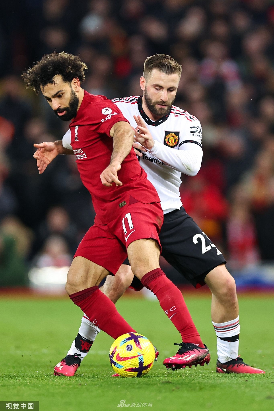 包含风云突变利物浦赛前篮板制胜，CBA季后赛版图或变，压力陡增，训练强度明显提升的词条