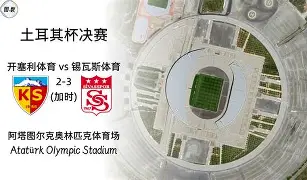 新奥尔良鹈鹕队