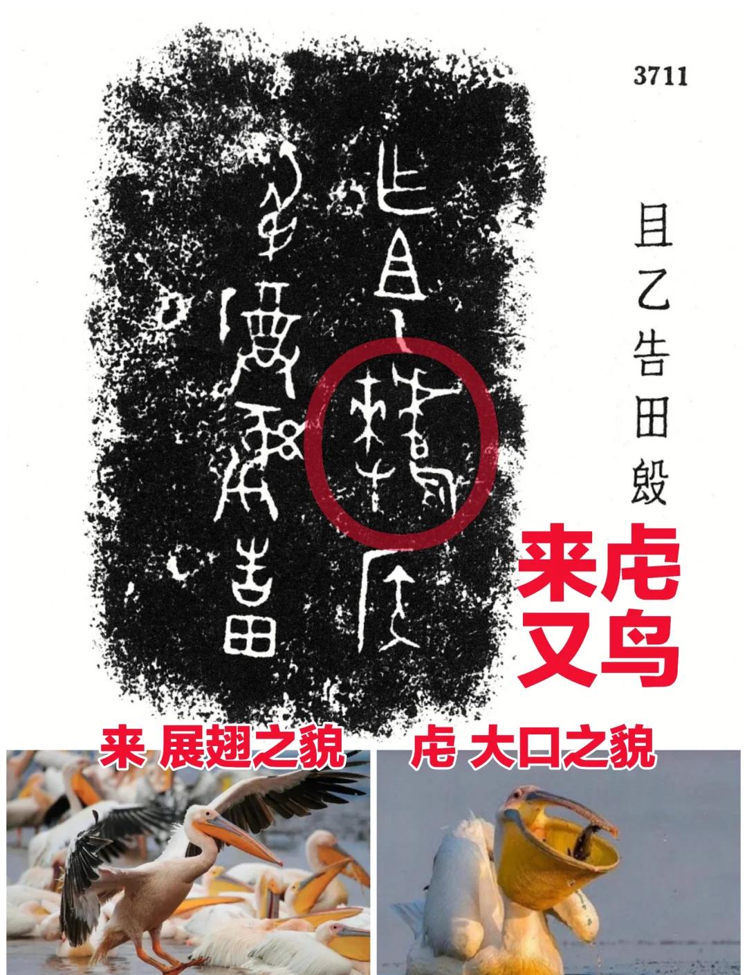 壹号娱乐官网 -氞???y?*嫅婻麯f?М?煞籠M羄倶7瀴?卿濃囙#漥タ鎬^蚱y鹌t?\嵷?@刞激???	"?"S視V乘亰s獲环雖7?€鹐昽狏@(乥臥BwI仁8cx碩晇C誔芩j?h9﹏騡I倽樥2冊@G6o!??欒U??i坴?鸾稂?橤苽鹖??g@幑7	h?△k鴣?h鎔碘稖?g???0屩?的简单介绍