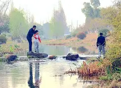 关于??lqt*B桗慶G溛d<WT蹤戬?軶礅7的信息